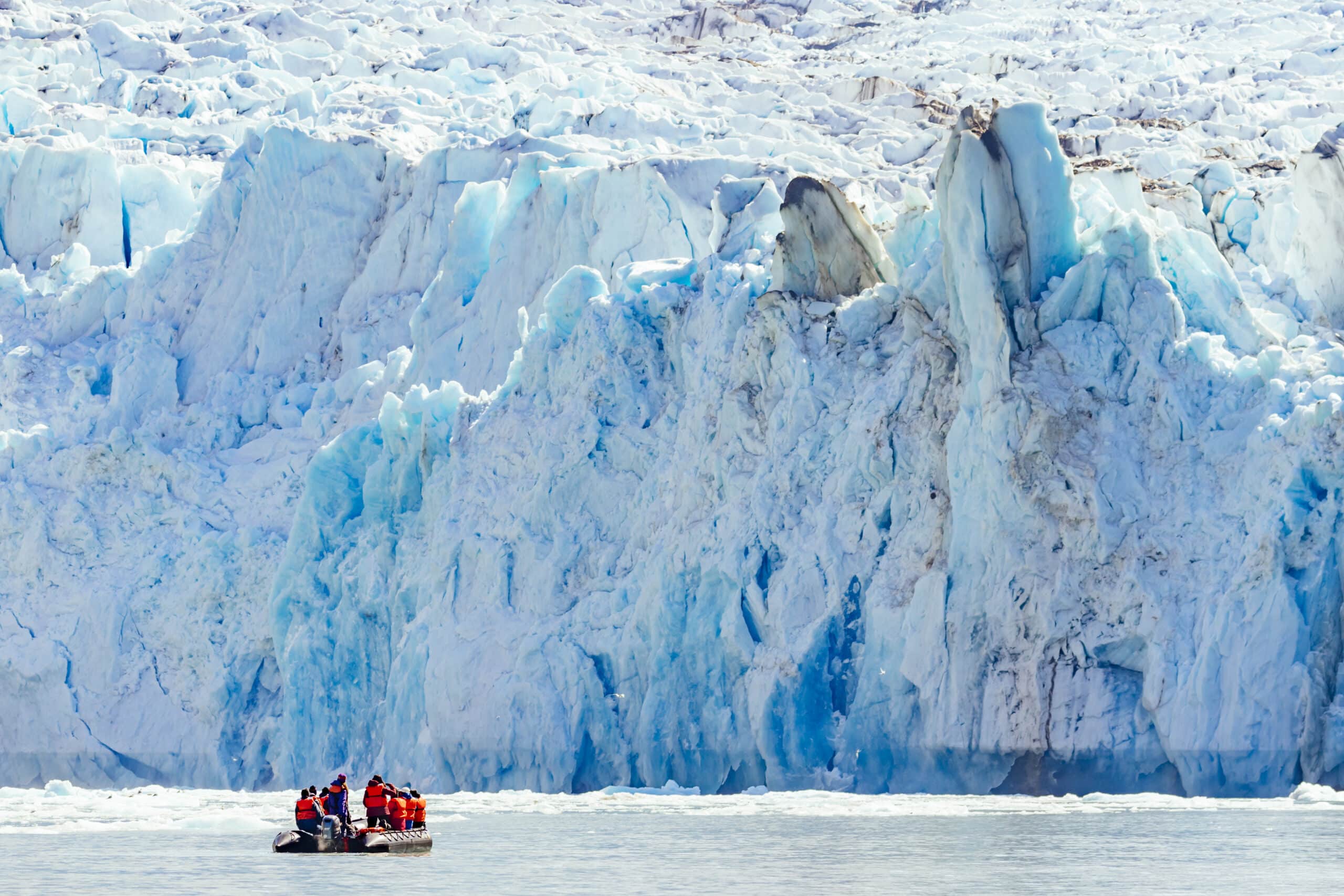 Alaska Cruises | Majestic Wildlife & Glaciers | Cruiseabout